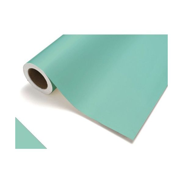 中川ケミカル カッティングシート419ミント450mm×12M CS045419R 1本 175-7609（直送品）