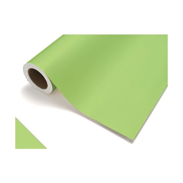 中川ケミカル カッティングシート415メロン450mm×12M CS045415R 1本 175-7643（直送品）