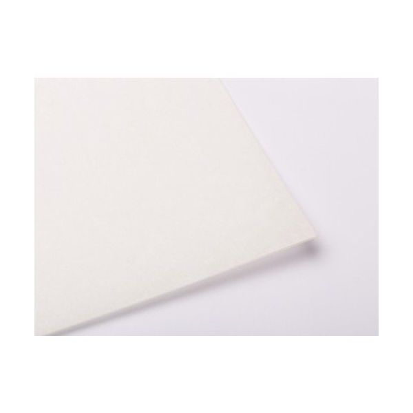 中川ケミカル 和紙リタックシート2 960mm×100M CS096WRTC2B 1巻 425-2626（直送品）