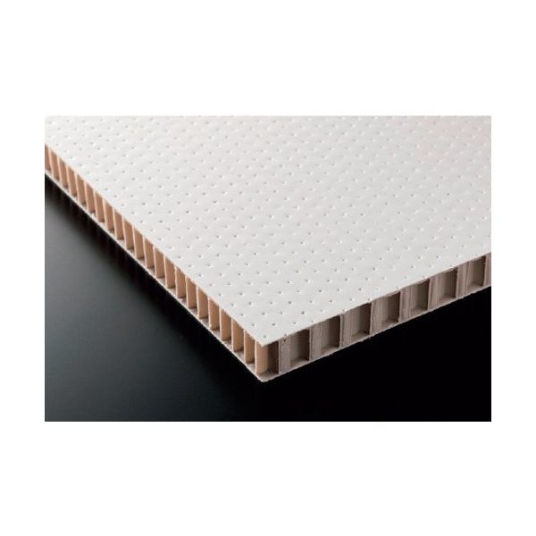 RISU テクセルセイント T20ー2800S1000×2000 SAINT T20-2800S 1000 2000 1枚（直送品）