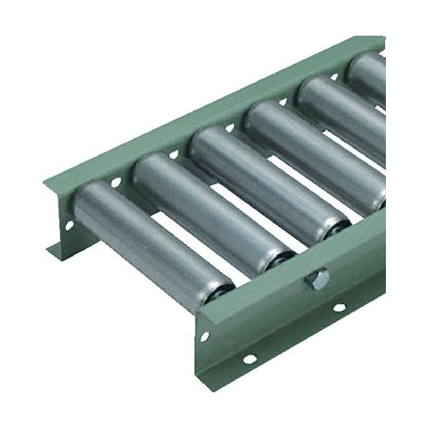 タイヨー TRーL5016型 ローラー幅100W×P100MM×機長1000MM フレーム[型 L5016-100-100-1000 1台（直送品）