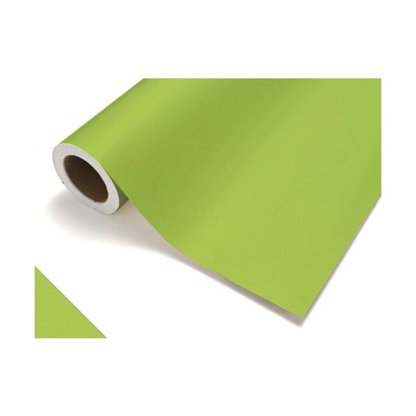 中川ケミカル カッティングシート412スプリンググリーン450mm×12M CS045412R 1本 175-7671（直送品）