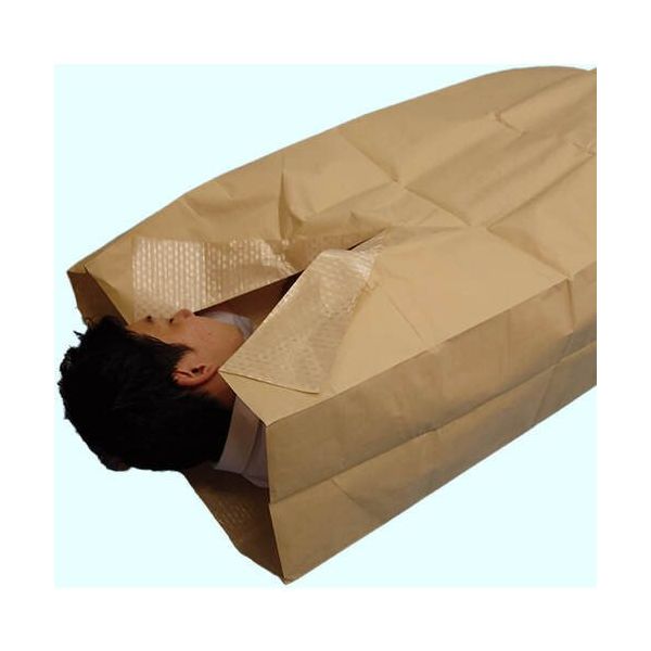 日大工業 ワニ印 音の少ない紙製 備蓄用防災寝袋 WA-4000 1枚 693-8405（直送品）