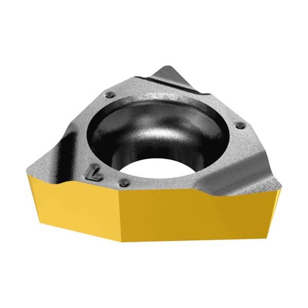 イスカル ISOターン チップ WBGT IC807 060102L 1セット(10個) 339-2282（直送品）