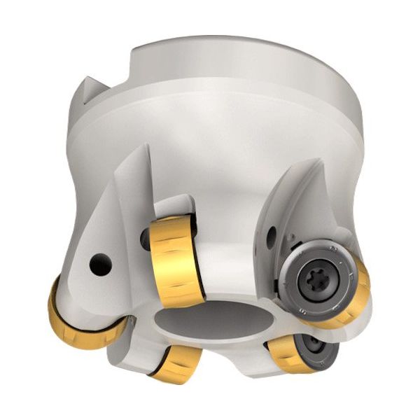 イスカル フェースミル RDS FR D050-06-22-12 1本 423-1744（直送品）