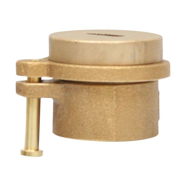 岩崎製作所 IWA 船舶用 黄銅製 測深キャップ 54SC65B 1個 509-9107（直送品）