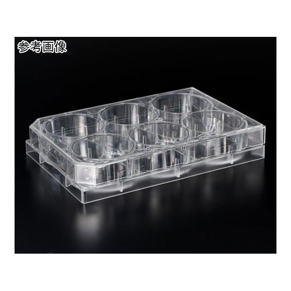 AGCテクノグラス 浮遊培養用マイクロプレート(表面処理なし)6well 10枚 1810-006N-MYP 1箱(10枚)（直送品）