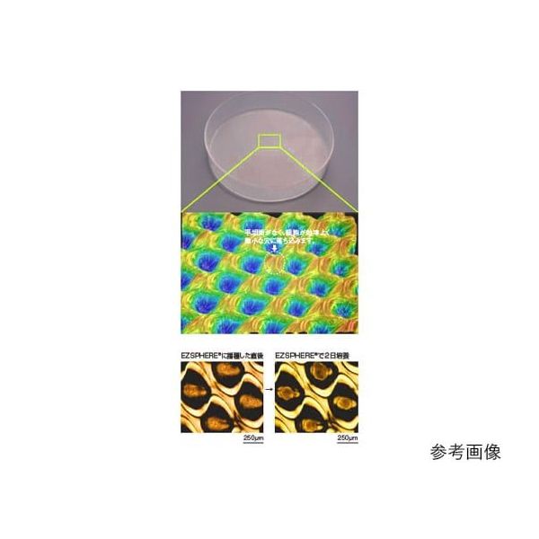 EZSPHERE(R) SP(スフェロイド形成培養用容器)ディッシュ60mm 1箱(10枚入) 4010-900SP 1箱(10枚)（直送品）