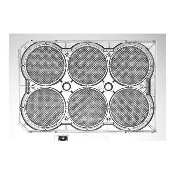 AGCテクノグラス EZSPHERE(R) SP 6ーウエルプレート Type904(5枚入) TCI-4810-904SP 1箱(5枚)（直送品）