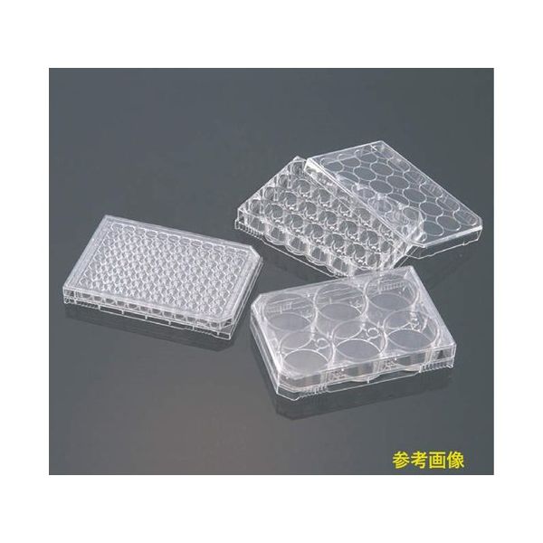 AGCテクノグラス 低接着表面EZーBindShut(R)II 6wellプレート (10枚入) 4810-800LP-N 1箱(10枚)（直送品）