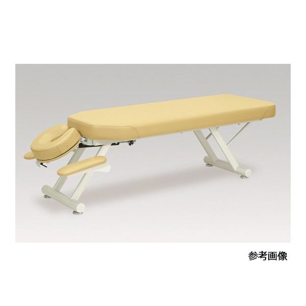 アズワン GSイージーベッドー5型 幅65×長さ180×高さ60 クリーム 60-0995-38 1台（直送品）