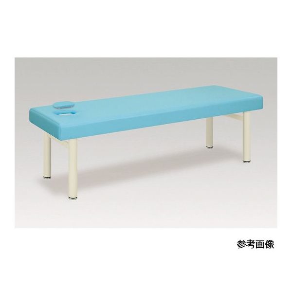 アズワン リニア 幅60×長さ180×高さ55 ライトブルー 60-0900-74 1台
