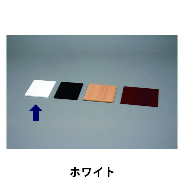 アイリスオーヤマ カラー化粧棚板スリム ホワイト LBC-625S（直送品）
