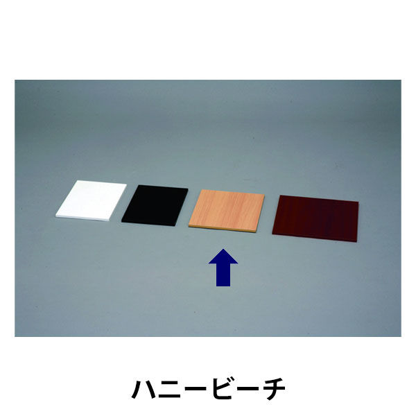 アイリスオーヤマ カラー化粧棚板スリム ハニービーチ LBC-925S（直送品）