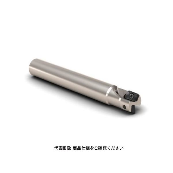 セコ・ツールズ・ジャパン フライス ターボカッタ R217.69ー1616.3ー10ー2A 1個（直送品）