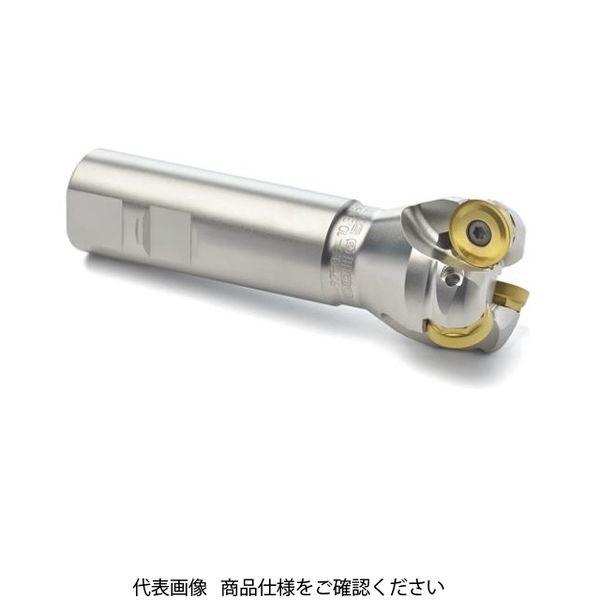 SECO Φ32カッターとチップ10枚 SECO Φ32カッターとチップ10枚