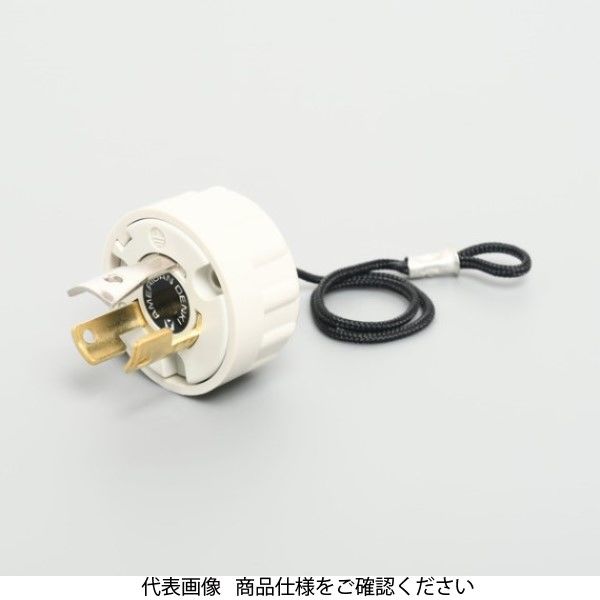 アメリカン電機 ブランクキャップ Z0201 1セット(10個)（直送品）