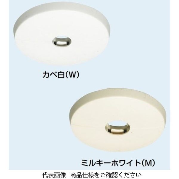 中古とほぼ未使用品 ほぼイマカツとエバーグリーン 漂い