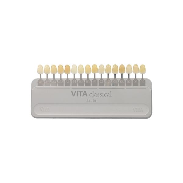 VITA Vitaシェードガイド 8071666（直送品）