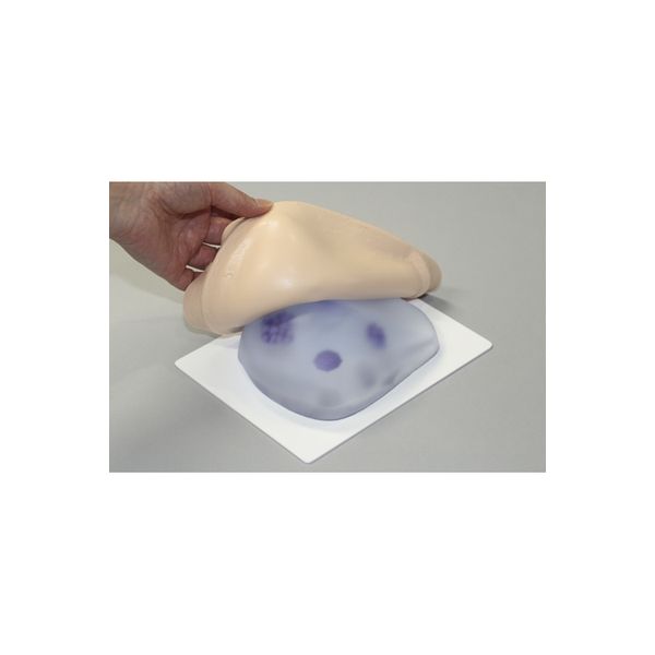 レジーナ 乳がん触診モデル（カバータイプ） 24-6961-00（直送品）