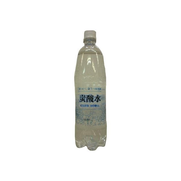 友桝飲料 炭酸水 ペット 1L×15 3440371 1ケース（15入）（直送品）