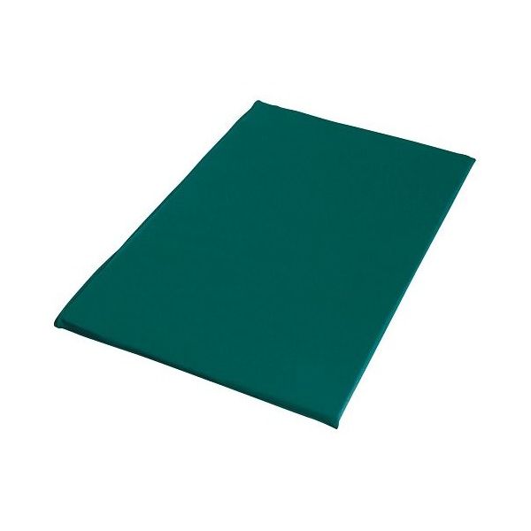 GAC D.C.パッド タイプXL グリーン 7-5497-03 1個（直送品）