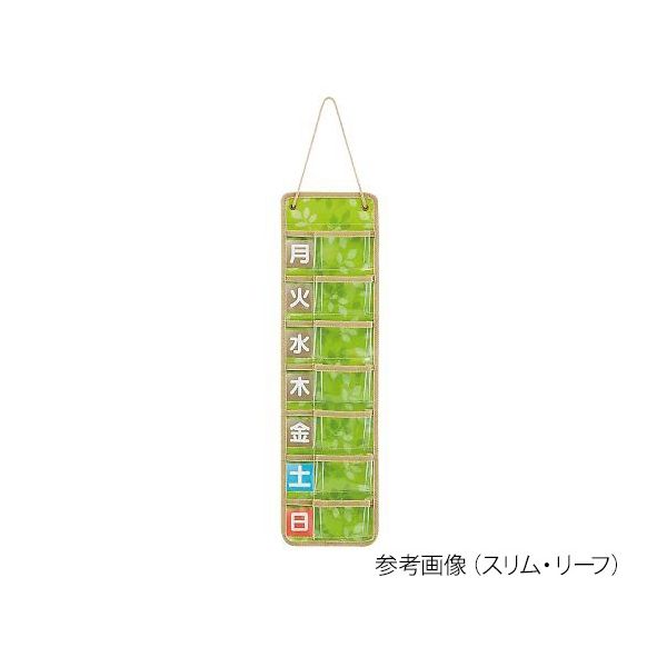 スケーター お薬ポケット 1週間(サポートシリーズ) スリム チェック 7-6178-03 1個（直送品）