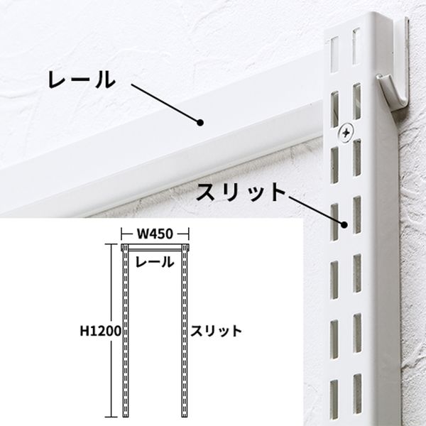 ARTIST(アーティスト) ほどよい 壁面取付システム収納 ES-rack