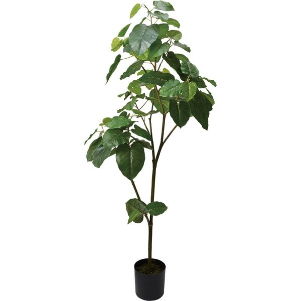 人工観葉植物　ウンベラータ　180cm　GLP-1512　横浜ディスプレイミュージアム（直送品）
