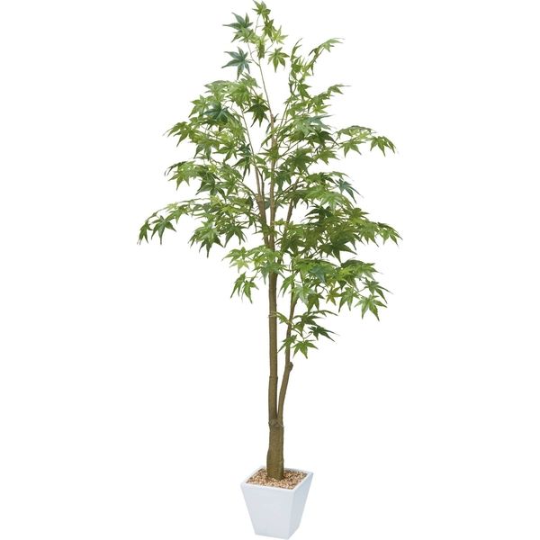 人工観葉植物　メープルツリー　150cm　GLA-1368　横浜ディスプレイミュージアム（直送品）