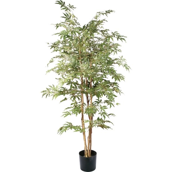人工観葉植物　メープルツリー　180cm　GLP-1430　横浜ディスプレイミュージアム（直送品）