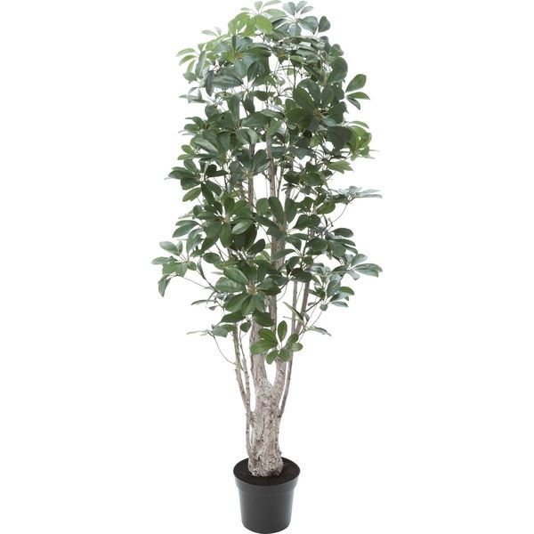 人工観葉植物　シェフレラ　155cm　GLP-1518　横浜ディスプレイミュージアム（直送品）