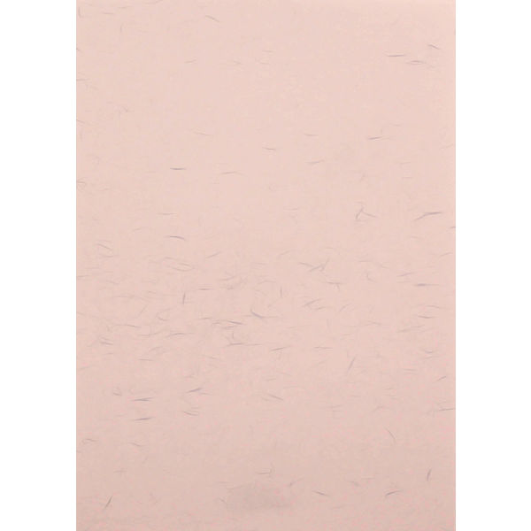 キングコーポレーション A4判 大礼紙 ピンク　100枚入×2箱 220411（直送品）