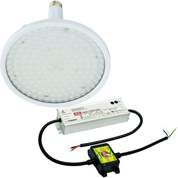 日動工業 LED交換球 L100V2-E39-HS-50K（直送品）