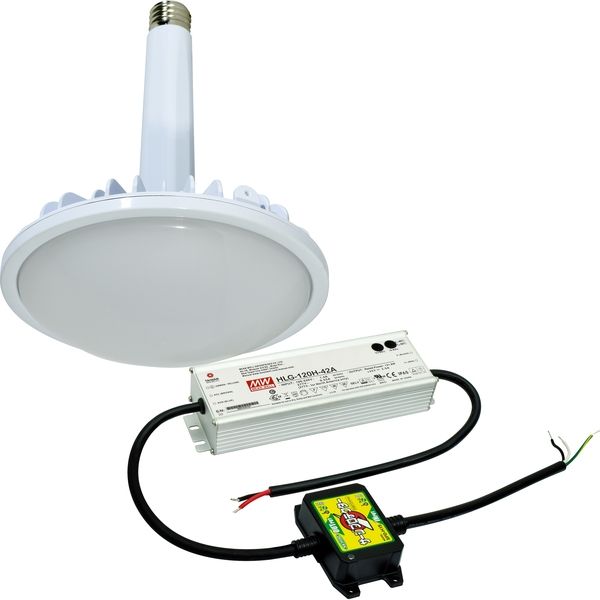 日動工業 LED交換球 L100V2-E39-HMW-50K（直送品）