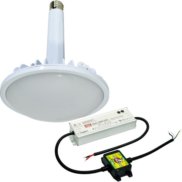 日動工業 LED交換球 L100V2-E39-HMW-50K-N（直送品）