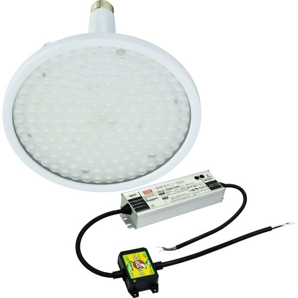 日動工業 LED交換球 L150V2-E39-HS-50K（直送品）