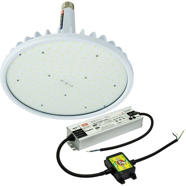 日動工業 LED交換球 L200V2-E39-HW-50K（直送品）