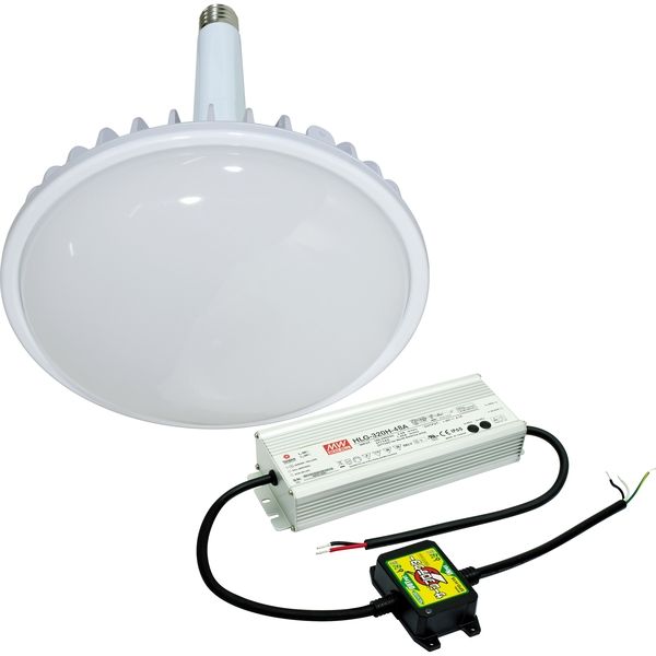 日動工業 LED交換球 L300V2-E39-HMW-50K（直送品）