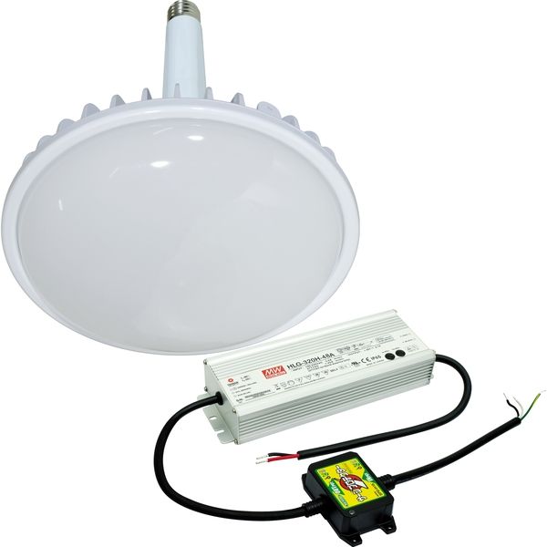 日動工業 LED交換球 L300V2-E39-HMW-50K-N（直送品）