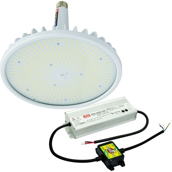 日動工業 LED交換球 L300V2-E39-HW-50K-N（直送品）