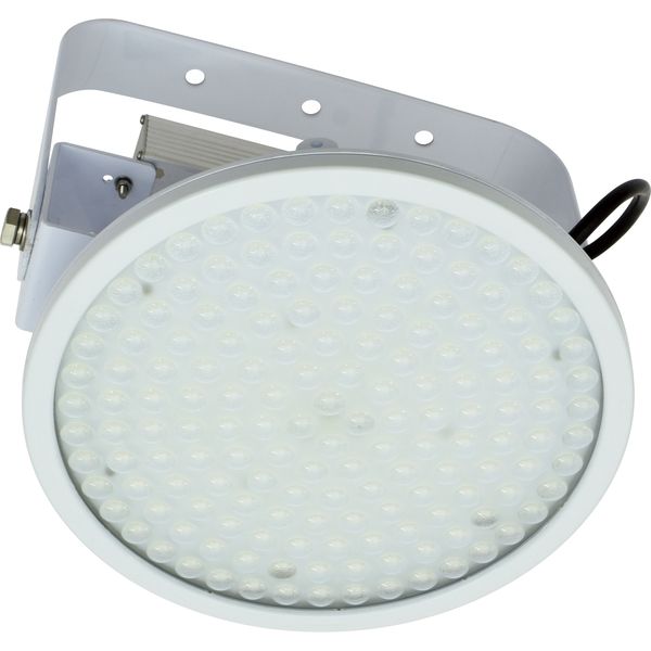 日動工業 施設用LED L150V2-P-HS-50K（直送品）