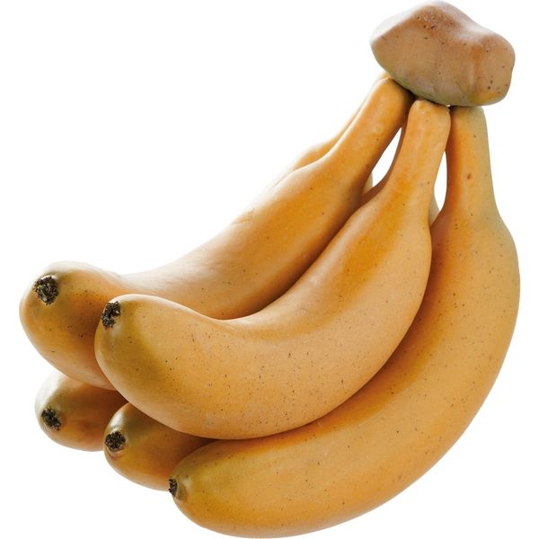 KMA　【食品サンプル】模型 バナナ房5本 2個入　049-4251055-2　1セット（2個入）（直送品）