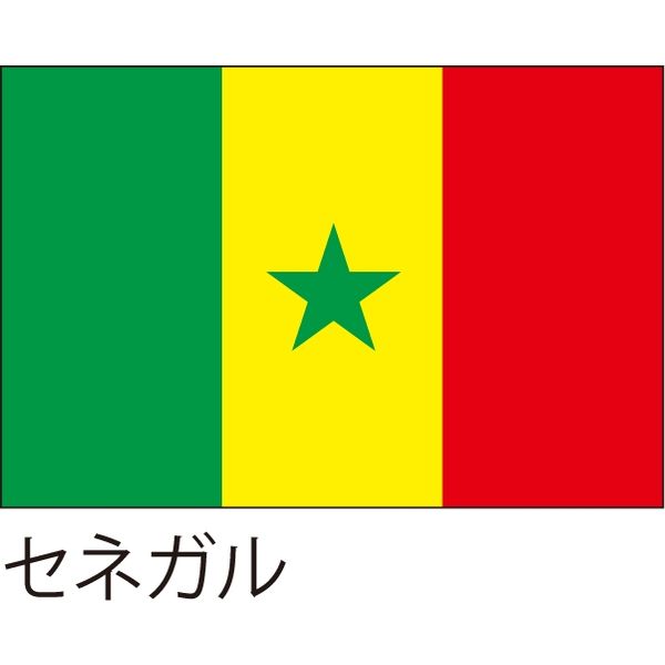 【世界の国旗】服部 応援・装飾用旗 セネガル 105×70cm ポンジ 1枚（直送品）