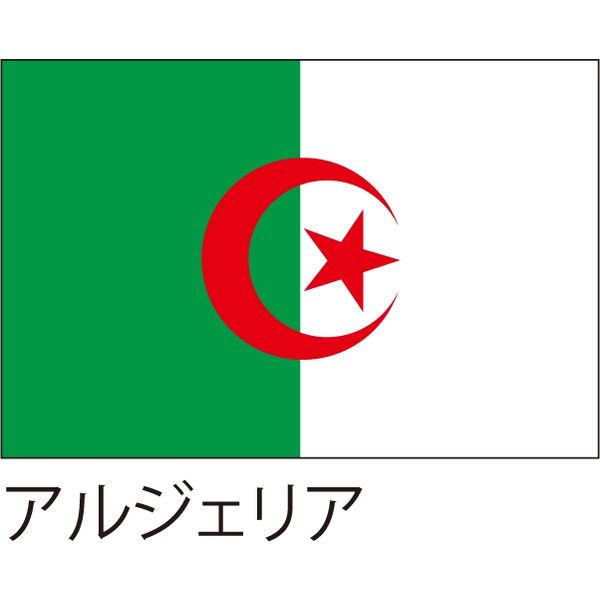 【世界の国旗】服部 応援・装飾用旗 アルジェリア 105×70cm ポンジ 1枚（直送品）
