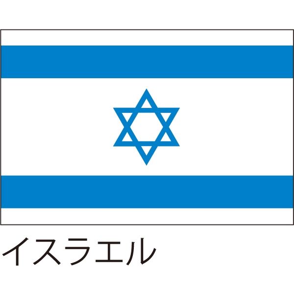 【世界の国旗】服部 応援・装飾用旗 イスラエル 105×70cm ポンジ 1枚（直送品）