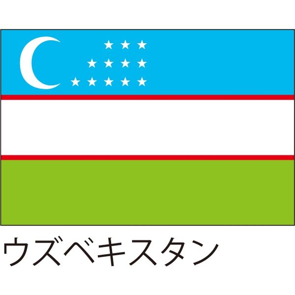 【世界の国旗】服部 応援・装飾用旗 ウズベキスタン 105×70cm ポンジ 1枚（直送品）