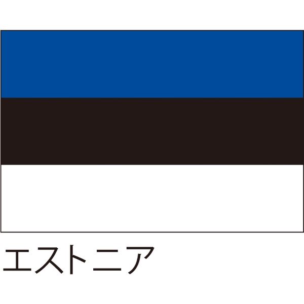 【世界の国旗】服部 応援・装飾用旗 エストニア 135×90cm ポンジ 1枚（直送品）