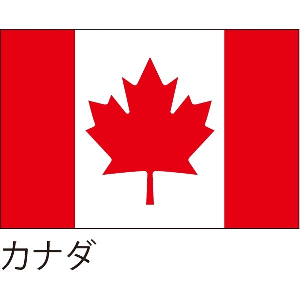 【世界の国旗】服部 応援・装飾用旗 カナダ 105×70cm ポンジ 1枚（直送品）