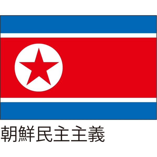 【世界の国旗】服部 応援・装飾用旗 朝鮮民主主義 105×70cm ポンジ 1枚（直送品）